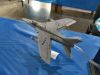 CTA-009 1/48 Hot Gnats