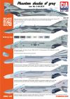 CTA-025 1/48 Phantom Shades of Gray декаль